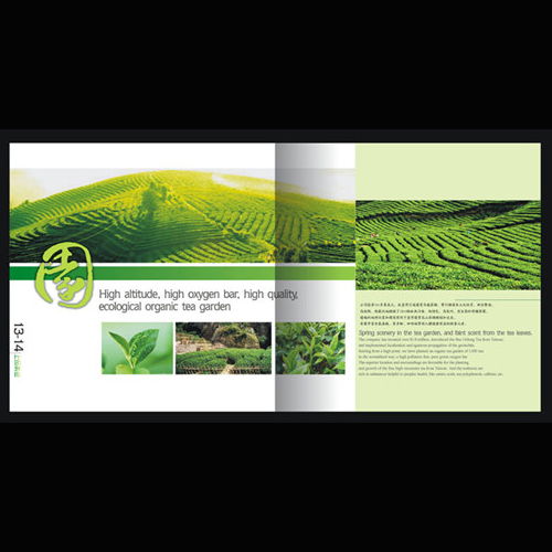 深圳產(chǎn)品圖冊(cè)與網(wǎng)站設(shè)計(jì)印刷服務(wù) 專業(yè)視覺呈現(xiàn)提升品牌價(jià)值